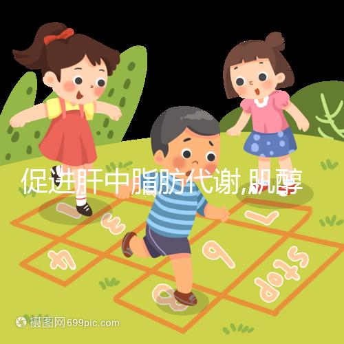 促進(jìn)肝中脂肪代謝,肌醇藥理作用不止這一點(diǎn)