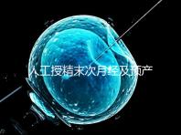 人工授精末次月經(jīng)及預(yù)產(chǎn)期是什么時(shí)候?計(jì)算方法原來(lái)是這樣…