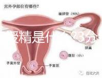 人工授精是什么?3分鐘讀完這篇文章,解答你所有疑問(wèn)