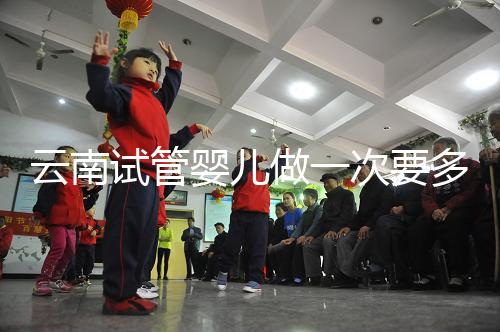 云南試管嬰兒做一次要多少錢？2024年助孕價格清單