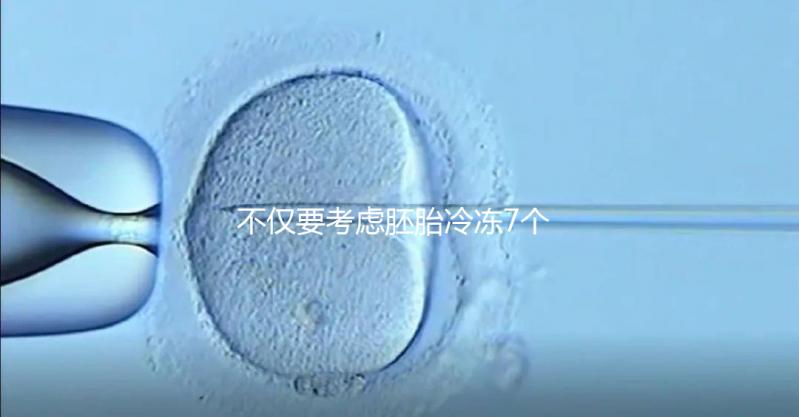 不僅要考慮胚胎冷凍7個月是否可以移植，還要了解受孕率的影響