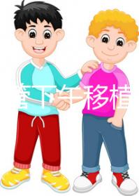 不懂試管下午移植上午要不要請假速覽,何時開始一看便知