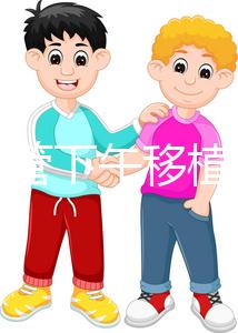 不懂試管下午移植上午要不要請(qǐng)假速覽,何時(shí)開(kāi)始一看便知