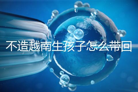 不造越南生孩子怎么帶回國戶口?流程和資料都有