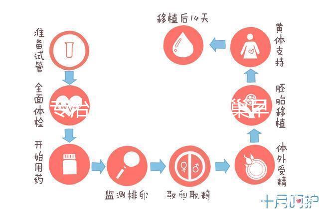 專治停經、絕經、卵巢早衰？利維愛的作用與適應癥分析