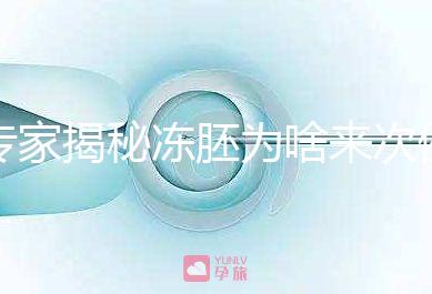 專家揭秘凍胚為啥來次例假才可以移植,第幾天手術有講究