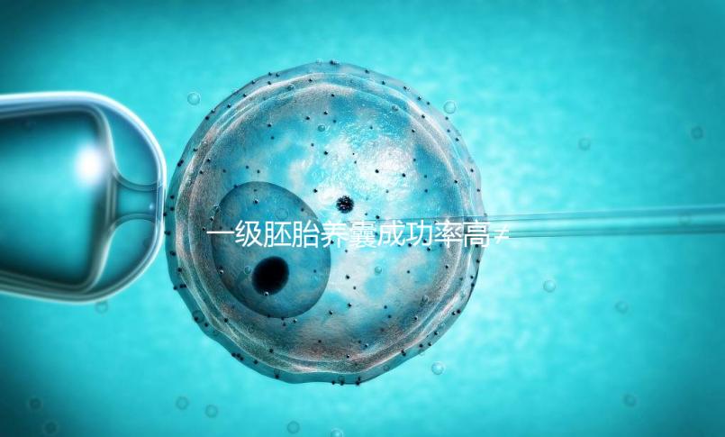 一級胚胎養囊成功率高≠零失敗，染色體異常是主要原因