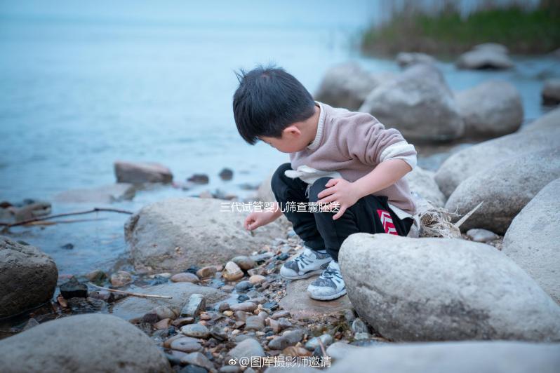 三代試管嬰兒篩查囊胚送檢有標準,胚胎數量就是其中之一