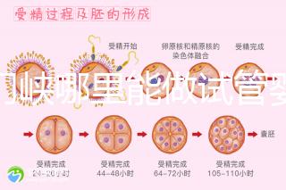 三門(mén)峽哪里能做試管嬰兒?從經(jīng)歷談成功率和費(fèi)用