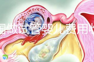 中國做試管嬰兒費用收費價目表一覽，包含具體成本預算