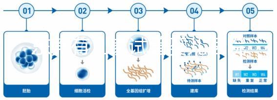 東莞有幾家試管嬰兒醫院?不同生殖中心費用和成功率詳解