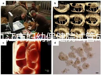 九江市婦幼保健院試管成功率高、費(fèi)用低？生殖醫(yī)生揭開(kāi)真相