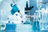 探究黃熱病疫苗的作用，去非洲、南美洲國(guó)家接種很有必要