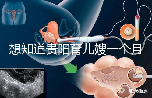 想知道貴陽育兒嫂一個(gè)月戳多少錢，云巖2萬夠不夠