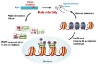 想造賀州男科醫院哪家好瞧，賀州市人民醫院登前3了解下