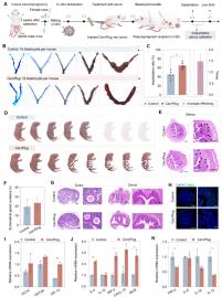 怎么聯(lián)系三美泰醫(yī)院?通過泰國試管中介或者官網都可選擇
