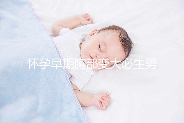 懷孕早期胸部變大必生男孩？3大乳房變化要早知