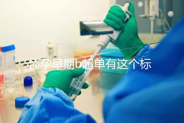 懷孕早期b超單有這個(gè)標(biāo)志一般是女孩，孕囊數(shù)據(jù)暗藏玄機(jī)