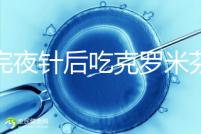 打完夜針后吃克羅米芬不要緊,做好補救工作影響真不大