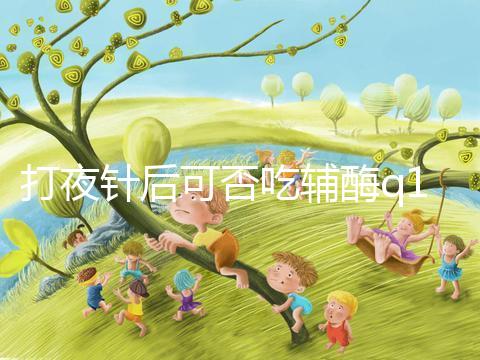 打夜針后可否吃輔酶q10答案在這,作用大且不會(huì)提前排卵