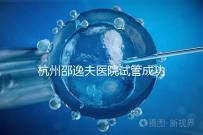 杭州邵逸夫醫院試管成功率高達70%？助孕專家講述其中奧秘