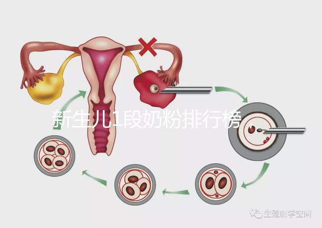 新生兒1段奶粉排行榜，口碑好、價格實惠的品牌紛紛上榜