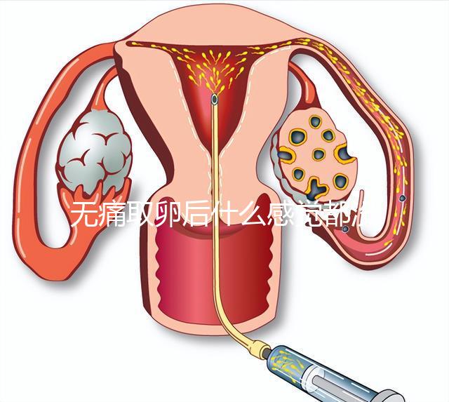 無痛取卵后什么感覺都沒有異常是謠言！只會出現(xiàn)一部分...