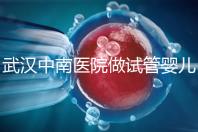 武漢中南醫(yī)院做試管嬰兒需要多少錢(qián):2025年這些試管收費(fèi)有變動(dòng)