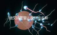 武漢試管嬰兒醫(yī)院排名新出爐,來看看2024哪些私立機(jī)構(gòu)上榜