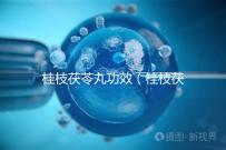 桂枝茯苓丸功效(桂枝茯苓丸功效作用與主治)