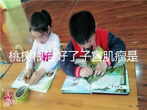 桃樹根治好了子宮肌瘤是謠言？和豬肉一起吃效果真不賴