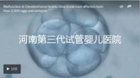 河南第三代試管嬰兒醫(yī)院整理,成功率、費(fèi)用全在這