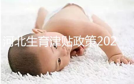 河北生育津貼政策2024，想造石家莊怎么算、多久到賬戳這