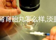 滋腎育胎丸怎么樣,淡鹽水服用效果更佳