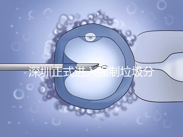 深圳正式進(jìn)入強(qiáng)制垃圾分類時(shí)代,不分類最高被罰50萬(wàn)!