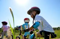 子宮內(nèi)膜異位癥可通過試管嬰兒技術(shù),解決不孕難題