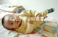 孕期無小事:卵黃囊形成到胎芽出現(xiàn)時間早了解早放心