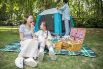 孕婦夢見牛是好夢？不同情形夢境寓意分析