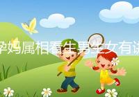 孕媽屬相看生男生女有講究，方法沒找對測試結(jié)果有誤差