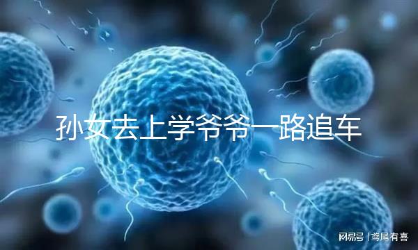 孫女去上學爺爺一路追車告別，網(wǎng)友：上了年紀淚點更低了