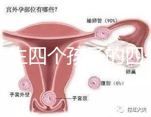 寧夏生四個孩子的四個女孩補貼多少2024年，給2萬元或非謠言