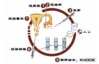 寶寶到媽媽身上就要吃解決方法來(lái)了,奶瓶作用大別忽略