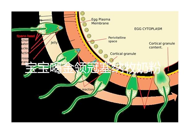 寶寶喝金領冠塞納牧奶粉后不長個，沖泡方法有大問題