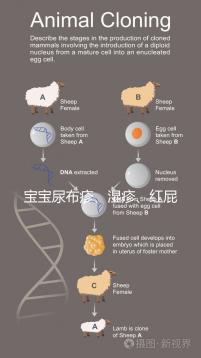 寶寶尿布疹、濕疹、紅屁股傻傻分不清？4點區別輕松診斷