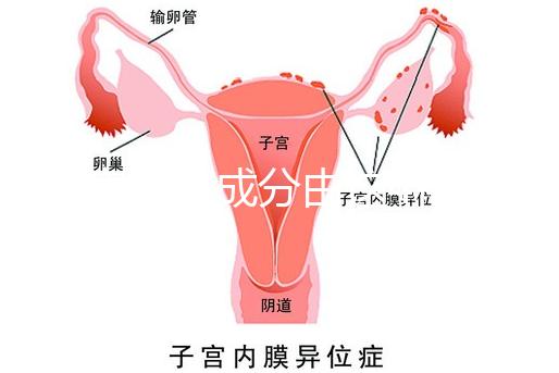 寶寶金水成分由這4種中藥材構成,對寶寶有益無害