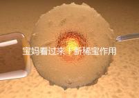 寶媽看過來!新稀寶作用及用法用量介紹