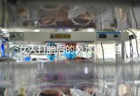 女人打胎后的風(fēng)水忌諱速來觀看,破解方法或能起關(guān)鍵作用