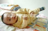 影響卵子存活時間的因素剖析：年齡起主導作用