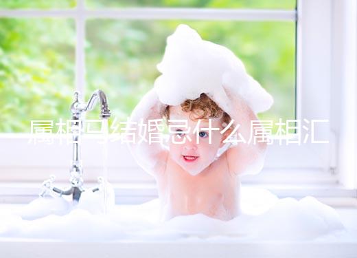 屬相馬結婚忌什么屬相匯總，2023和鼠、牛真相克請三思