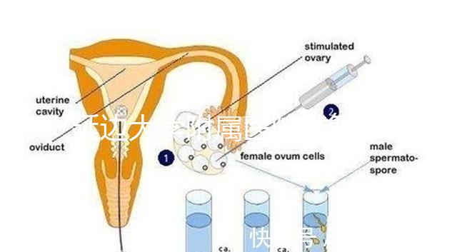 延邊大學附屬醫院試管怎么樣,助孕成功率、收費目錄表奉上